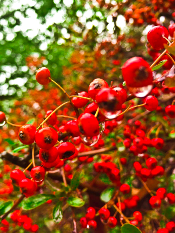 1xBET��Signup(�й�����)-�ٷ���վ